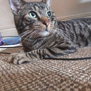 Meet your Posher, Zachary